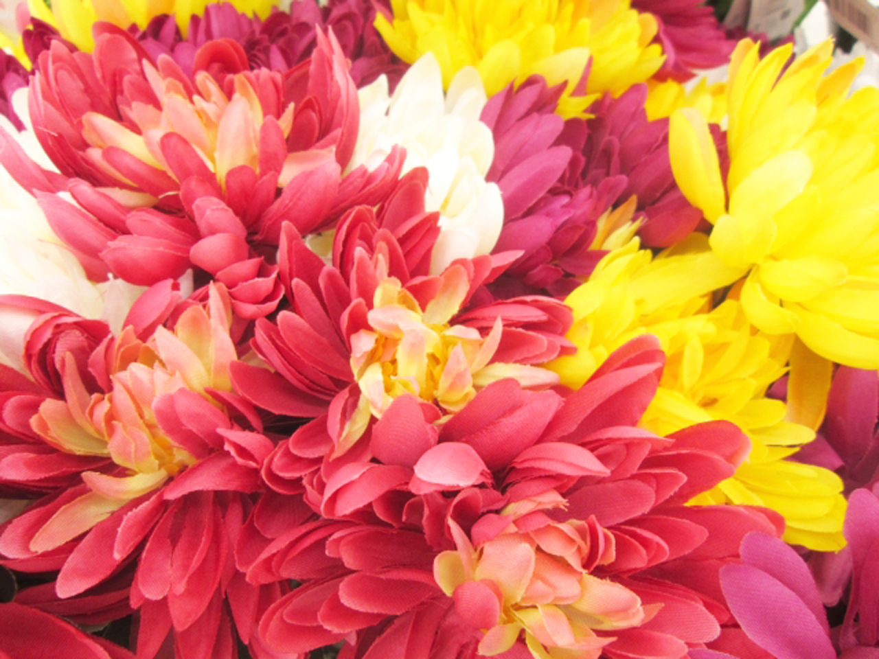 独身の人の終活とは？断捨離・葬儀の手配などから遺言まで