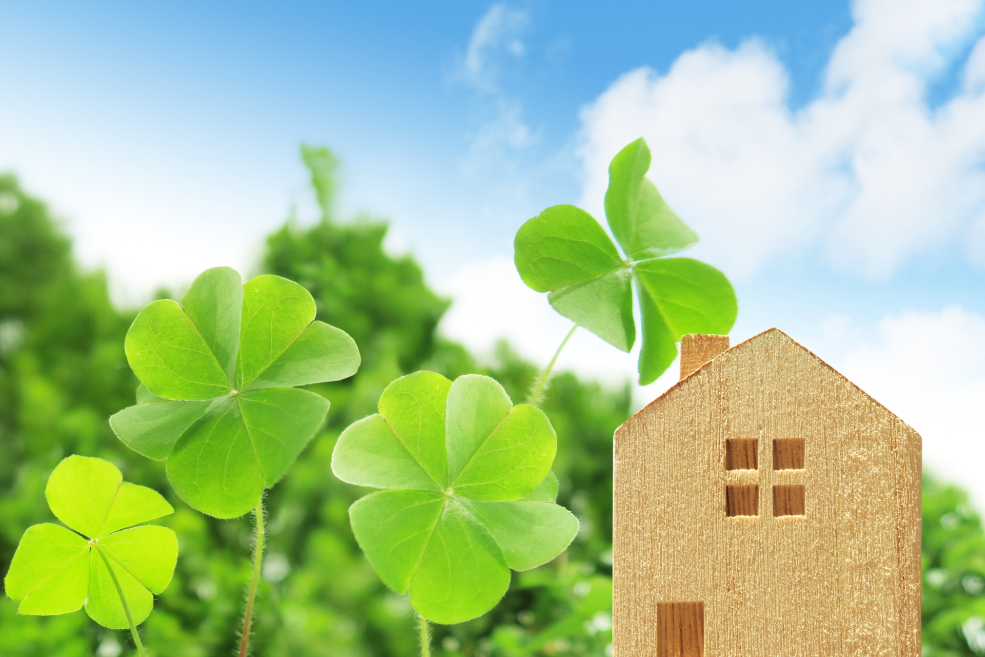 独身の老後資金確保に有効な「リバースモーゲージ」とは？